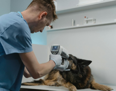 VETERİNER KLİNİĞİMİZ